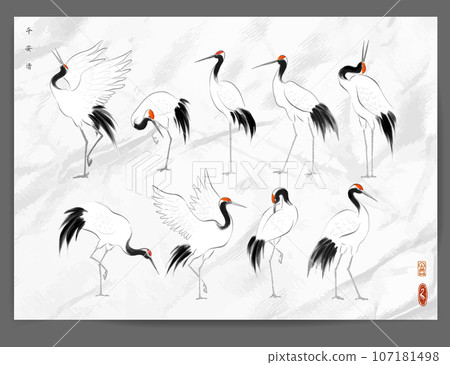 Japanese red-crowned crane birds in oriental style on old paper backrgound. Traditional Japanese ink wash painting sumi-e. Hieroglyphs - peace, tranquility, clarity. Japanese red-crowned crane birds in oriental style on old paper backrgound. Traditional Japanese ink wash painting sumi-e. Hieroglyphs - peace, tranquility, clarity. 107181498