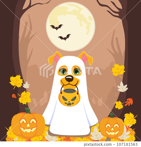 Dog Trick Or Treat Halloween Background Dog Trick Or Treat Halloween Background 107181563