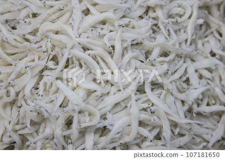 市場新鮮的魚、肉、水果和蔬菜 市場新鮮的魚、肉、水果和蔬菜 107181650
