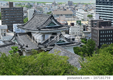 Inui turret seen from the castle tower of Wakayama Castle 107181759