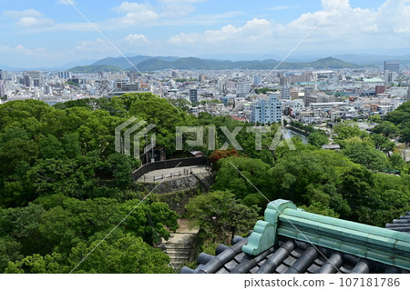 從和歌山城天守閣看到的本丸宮遺址 107181786