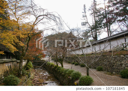 深秋的寺院 107181845