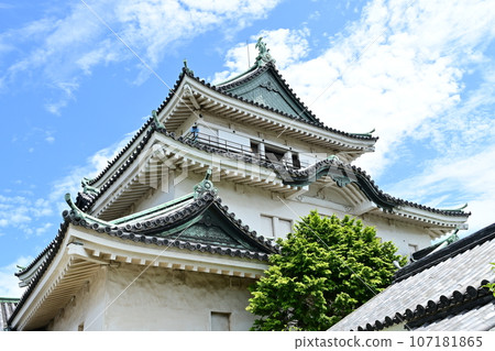 Main castle tower of Wakayama Castle 107181865