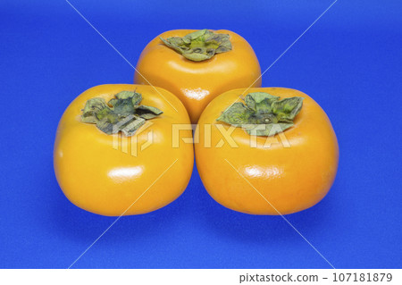 莊內柿子牡蠣 107181879