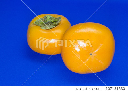 莊內柿子牡蠣 107181880