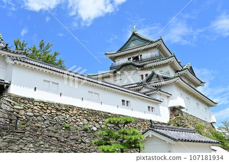 Wakayama Castle and its tower tower Wakayama Castle and its tower tower 107181934
