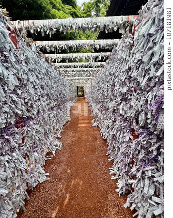 Many fortunes inside the shrine grounds of Ishiura Shrine Many fortunes inside the shrine grounds of Ishiura Shrine 107181981
