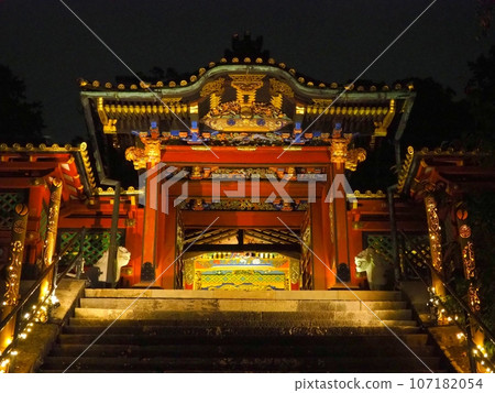 <Shizuoka Kunozan Toshogu Shrine> Shrine building at night 107182054