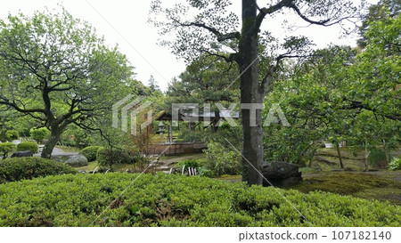 View of Kenrokuen Garden [Ishikawa, Japan] 107182140
