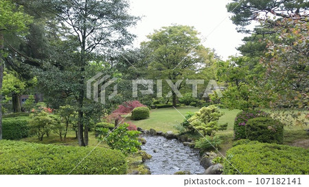 兼六園景觀 [日本石川縣] 107182141