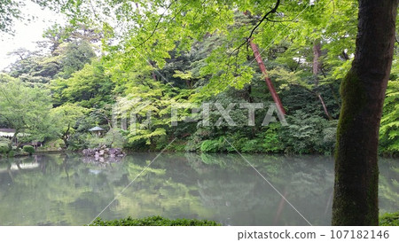 View of Kenrokuen Garden and Hyōike [Ishikawa, Japan] 107182146