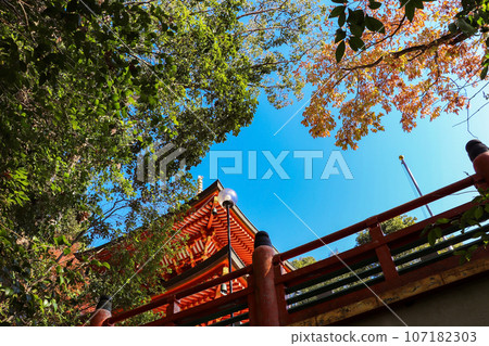寺廟紅塔與藍天 寺廟紅塔與藍天 107182303