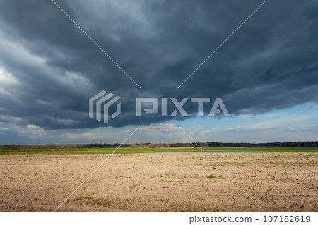Dark storm cloud over a dry rural field, eastern Poland 107182619