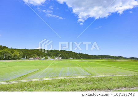 春天的田園風光 107182748