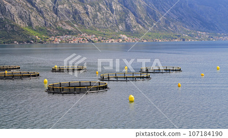 Aquaculture Fish Farming Nets Aquaculture Fish Farming Nets 107184190
