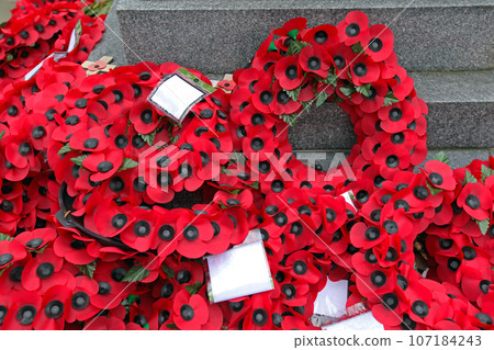 Remembrance Red Poppy Wreaths 107184243