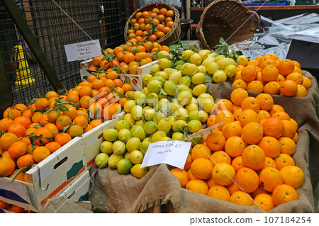 Citrus Fruits Farmers Market 107184254