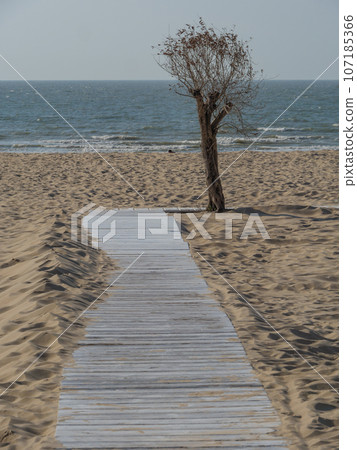 the city of De Haan at the belgian north sea coast 107185366