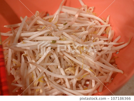 Bean sprouts Bean sprouts 107186366