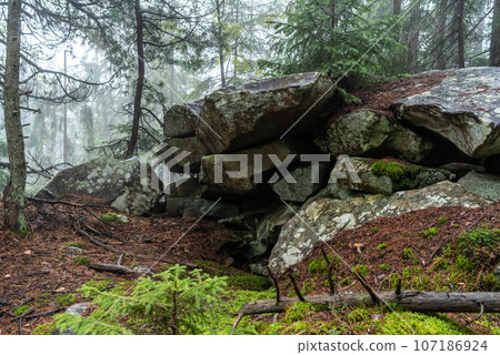 Small stone cave in the forest. Cozy place under the rocks. Shelter made of stones in the forest. Small stone cave in the forest. Cozy place under the rocks. Shelter made of stones in the forest. 107186924