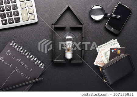 Budget calculation. Calculation of profit and expenses in the budget. Home budget. Light bulb on the background of the house. 107186931