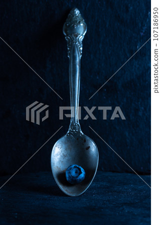 Old spoon with blueberries. Silver spoon and blueberry. Front view. 107186950