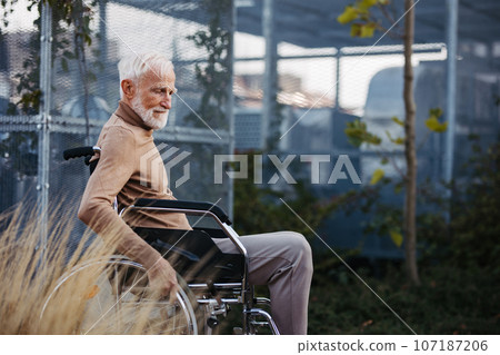 Portrait of a elegant elderly man in wheelchair in rooftop garden. Portrait of a elegant elderly man in wheelchair in rooftop garden. 107187206
