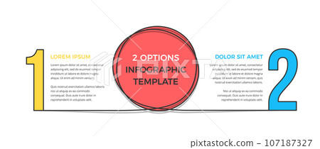 Infographic Template with 2 Options 107187327