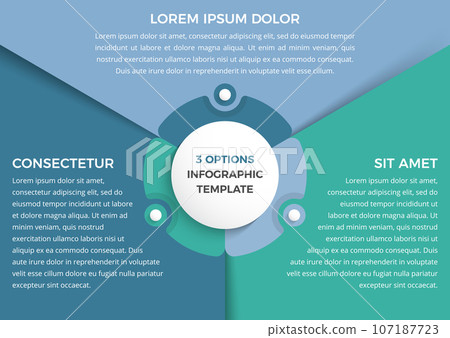 Infographic Template with 3 Options 107187723