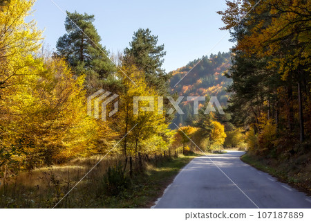 Golden magic autumn colorful trees and road 107187889