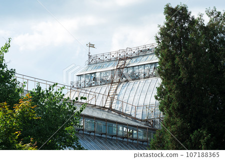 view of the dome of a large vintage palm greenhouse behind the trees view of the dome of a large vintage palm greenhouse behind the trees 107188365