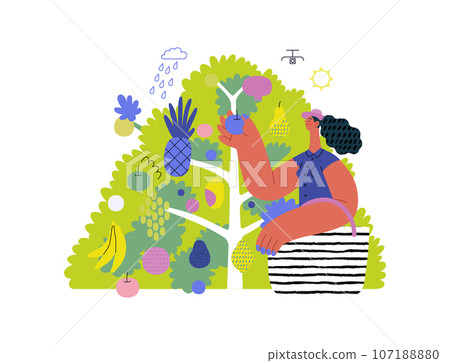 Greenery, ecology -modern flat vector concept illustration of a woman gathering fruit from the 40 fruit tree. Metaphor of environmental sustainability and protection, closeness to nature Greenery, ecology -modern flat vector concept illustration of a woman gathering fruit from the 40 fruit tree. Metaphor of environmental sustainability and protection, closeness to nature 107188880
