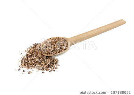 Bistorta officinalis known as bistort, common bistort, European bistort or meadow bistort  on wooden spoon isolated on white background. 107188931