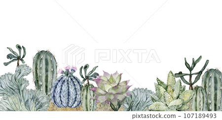 Composition in the sand. Cacti and succulents. Florarium. Home plants. Watercolor illustration 107189493