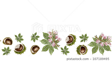 Border of leaves, flowers and fruits of chestnut. Watercolor illustration 107189495