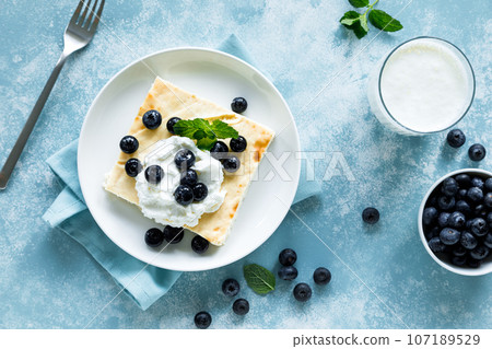 Cottage cheese cheesecake slice with fresh blueberry, top down view 107189529