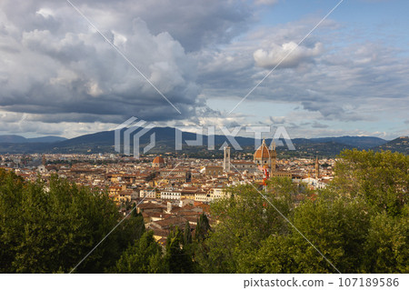 View of the city of Florence from the Forte di Belvedere, Italy 107189586
