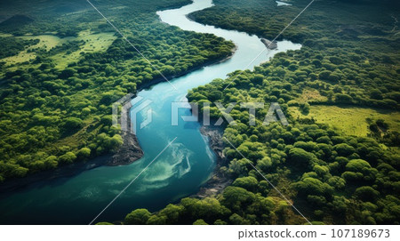 Aerial photograph capturing the winding course of the mighty Zambezi River as it flows through the pristine wilderness of Zambia, framed by lush greenery and dramatic cliffs. Generative Ai 107189673