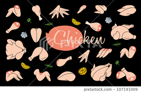 Domestic chicken meat set. Butcher shop. Chicken farming products. Whole chicken, brisket wing, carcass, fillet, ham, leg, breast, shank, drumstick. 107191009