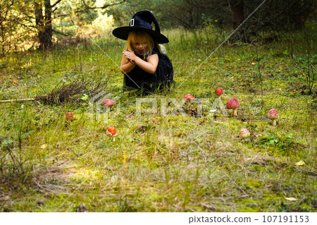 A girl in a witch costume and a black hat collects fly agarics in the forest to make a potion. Magic, Halloween. A girl in a witch costume and a black hat collects fly agarics in the forest to make a potion. Magic, Halloween. 107191153