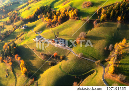 Aerial view of amazing green alpine meadows, orange trees, hills 107191865