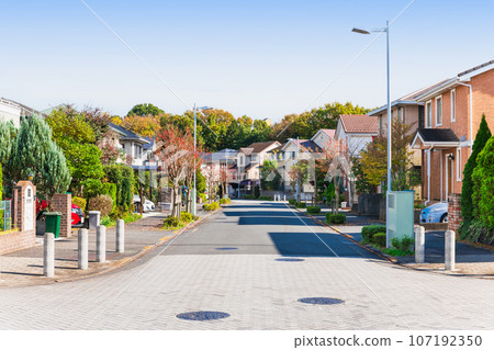 Home / house / living image: Town without utility poles 107192350