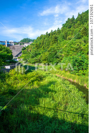 Aikaku Dam Midsummer Scenery Kamiyoshida, Chichibu City 107192661