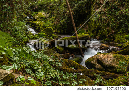 Beautiful water stream in Gresso river Portugal 107193300