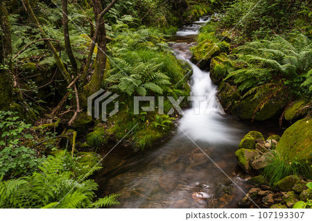 Beautiful water stream in Gresso river Portugal Beautiful water stream in Gresso river Portugal 107193307