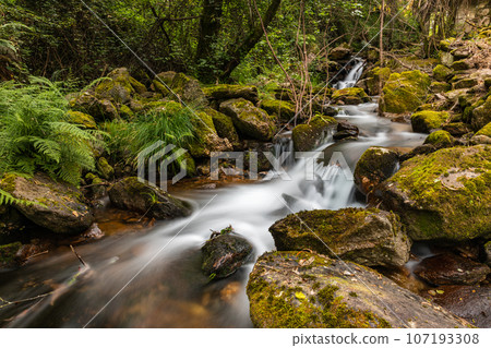 Beautiful water stream in Gresso river Portugal 107193308