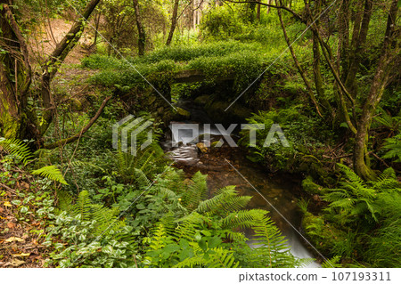 Beautiful water stream in Gresso river Portugal 107193311