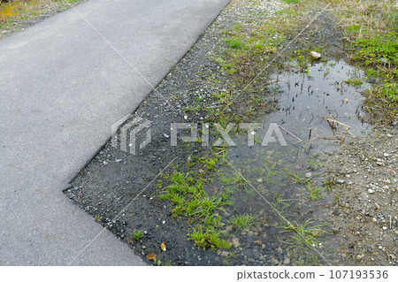 附近道路：混凝土和水坑 107193536