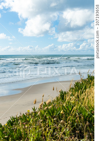 Sao Pedro de Maceda beach 107193658