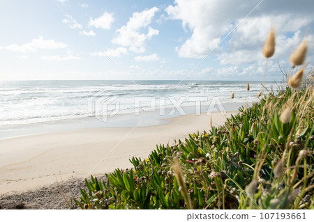 Sao Pedro de Maceda beach 107193661